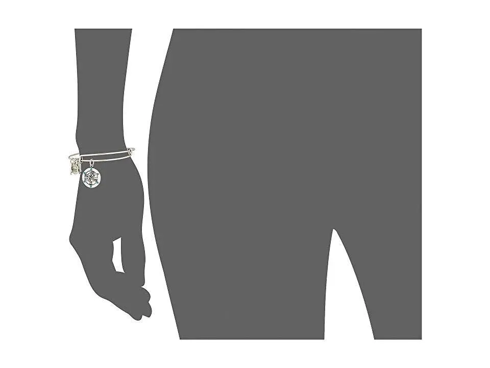 Alex and Ani Team USA Sports Bangles- 50% off!
