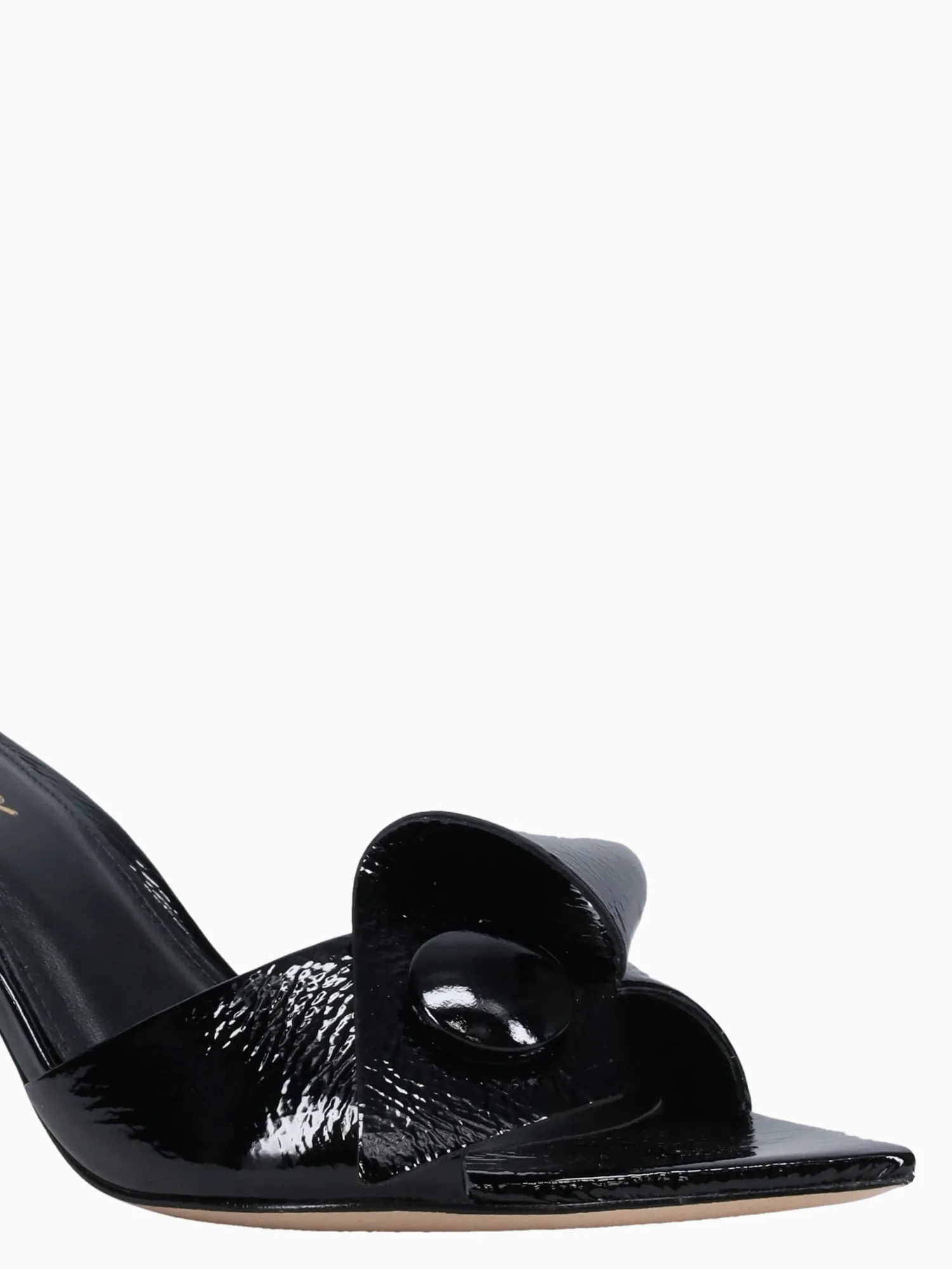 Aniela Black Vz Show