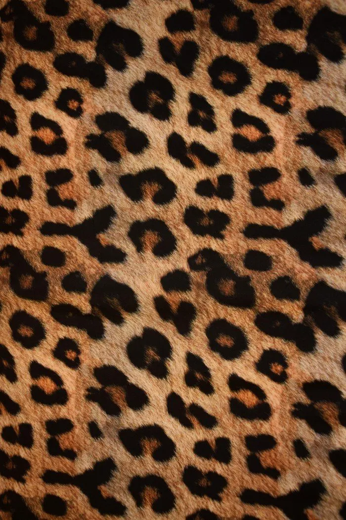 Leopard Print Halter Skater Dress