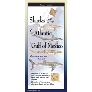 Sharks, Skates & Rays of the Atlantic and the Gulf of Mexico - Folding Guide